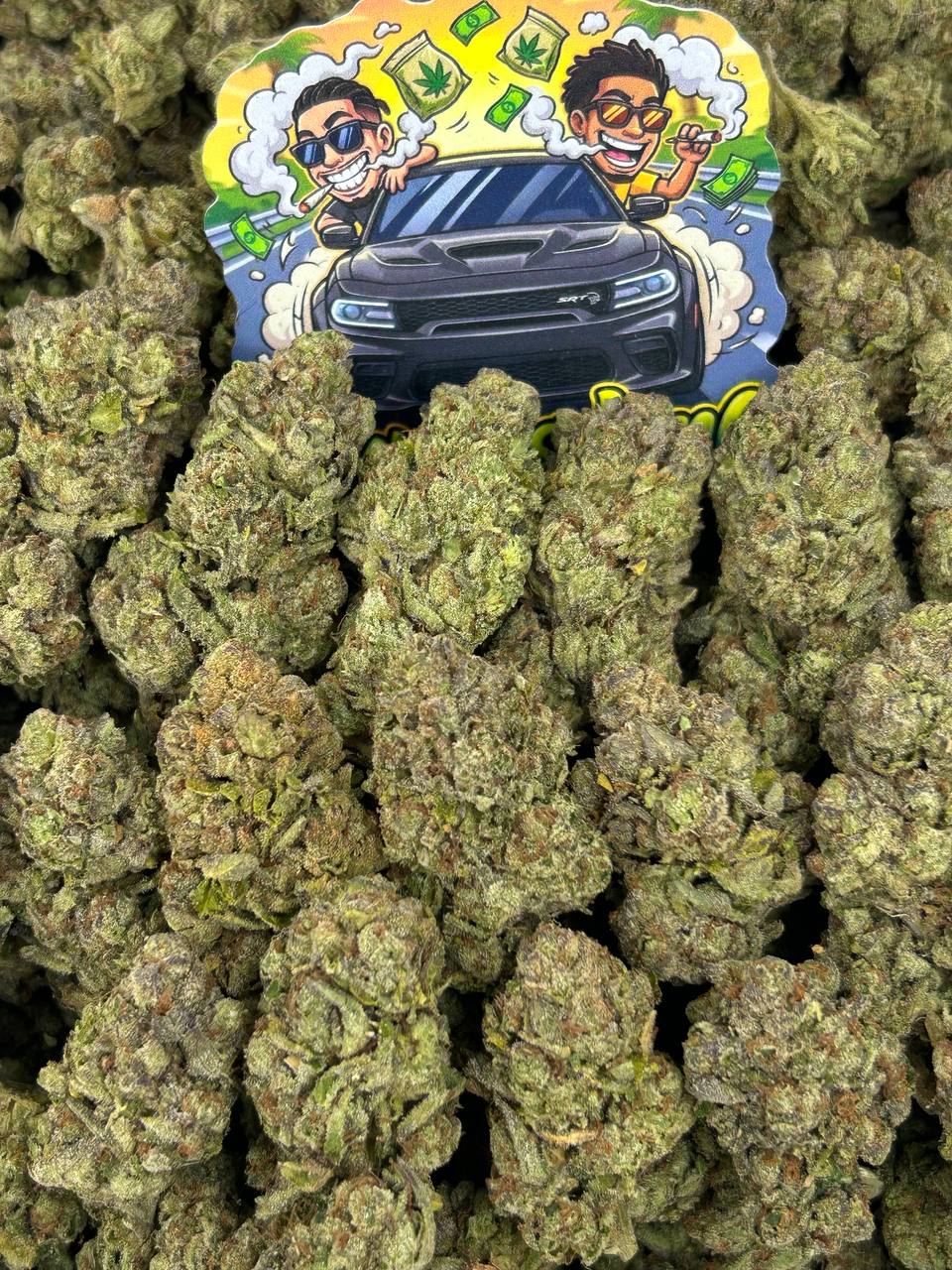 Black Cherry Gelato 🍒