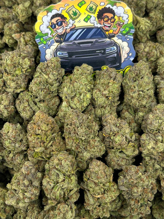Black Cherry Gelato 🍒