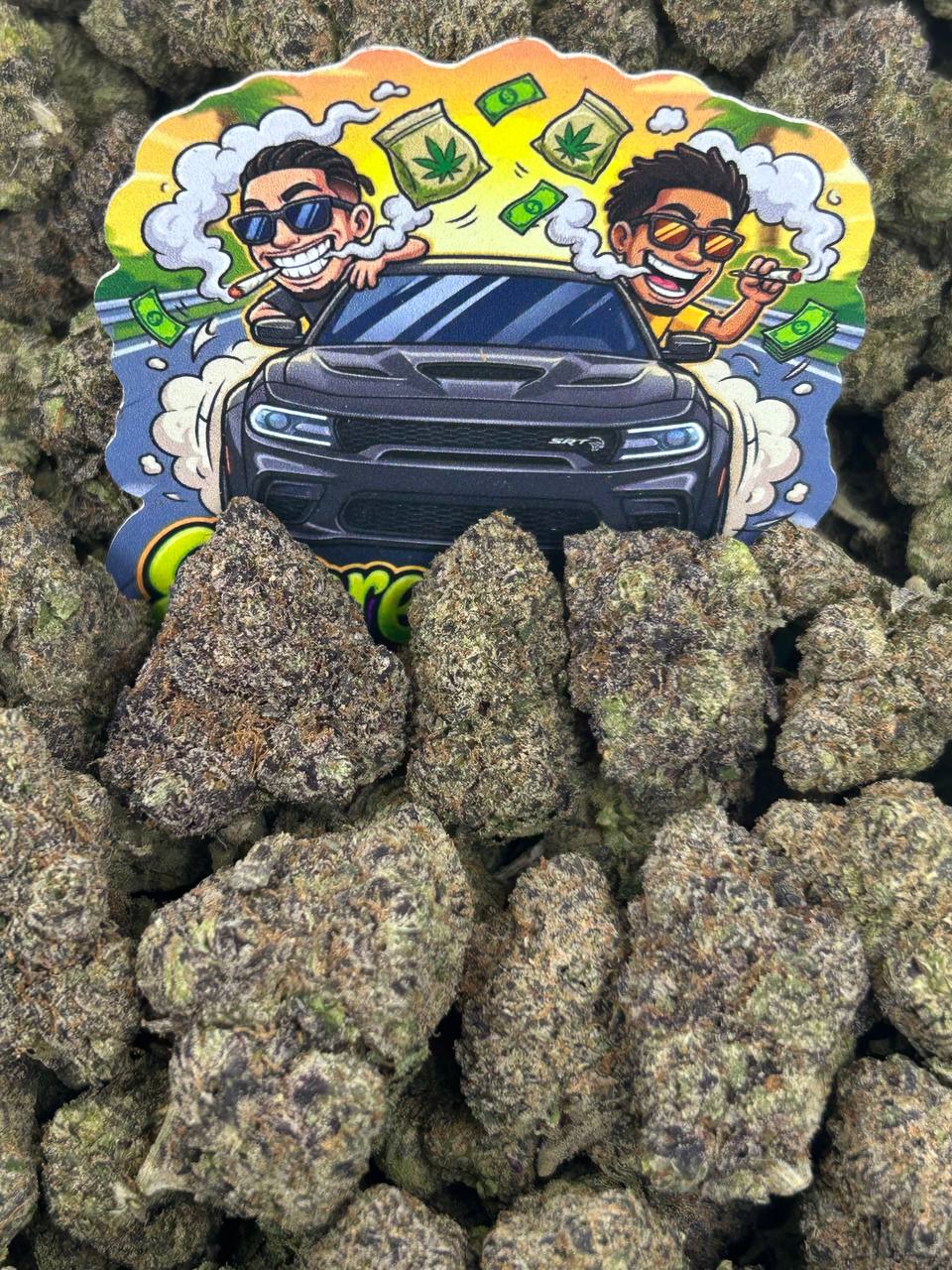 Blueberry Bombay 🫐