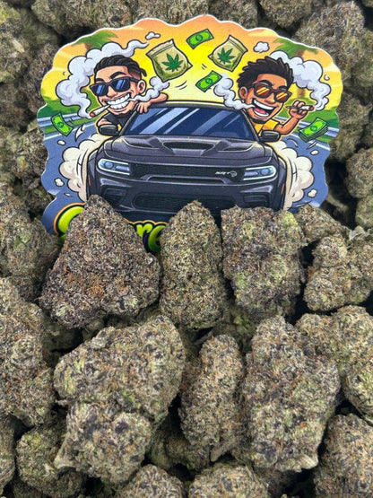 Blueberry Bombay 🫐