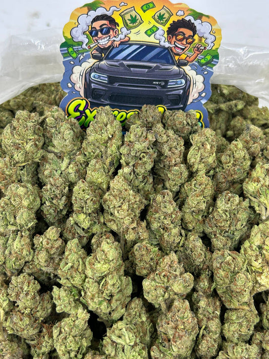Candy Gas 🍬