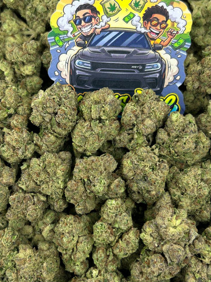 Candylato 🍬