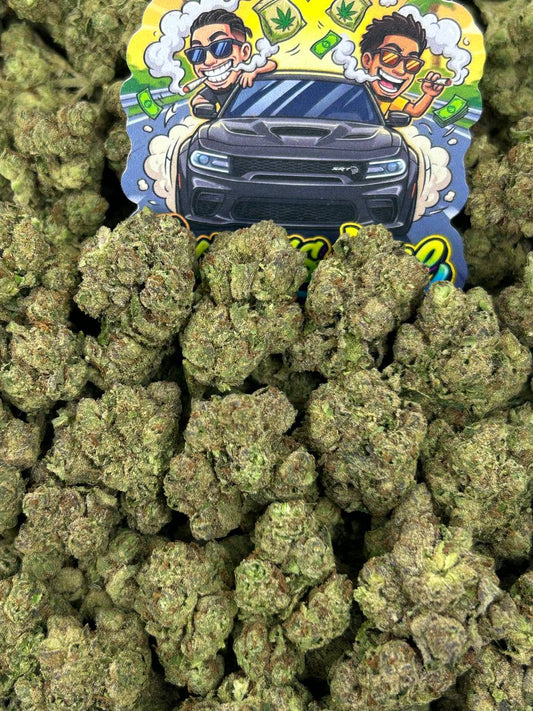 Candylato 🍬