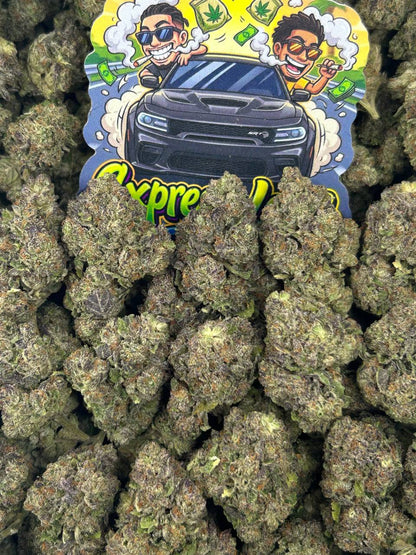 Cream Pie🥧