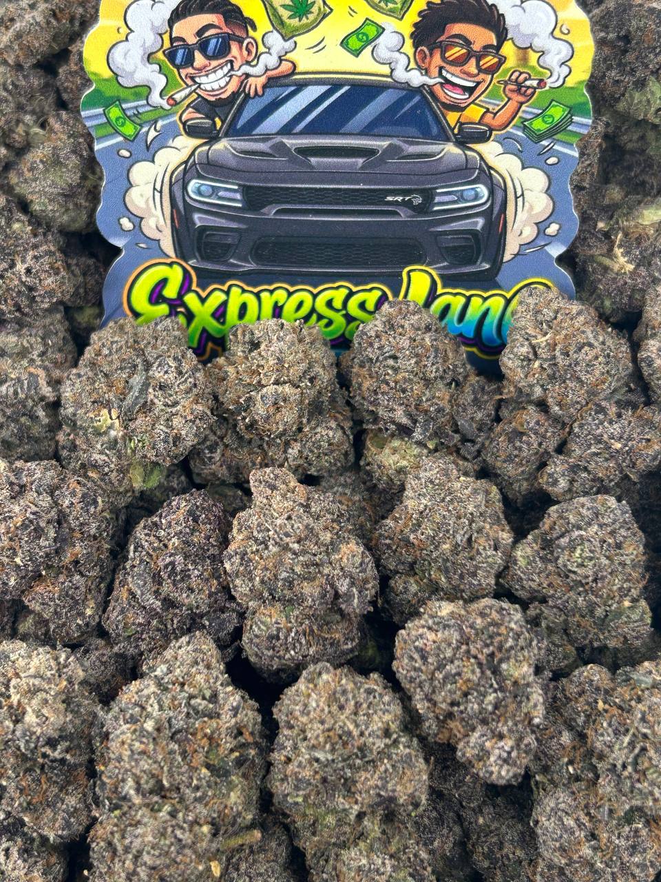 Diesel Berriez ⛽️