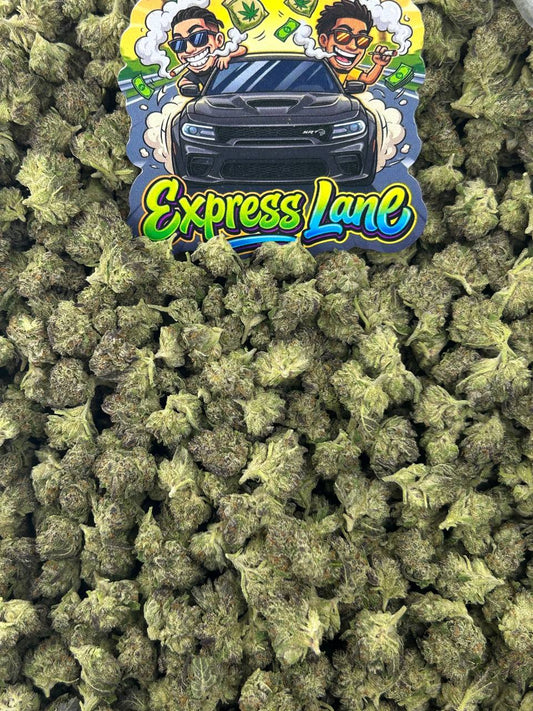 Gassed Up Smalls⛽️
