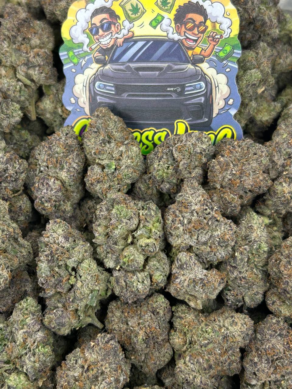 Grape Mamba 🍇