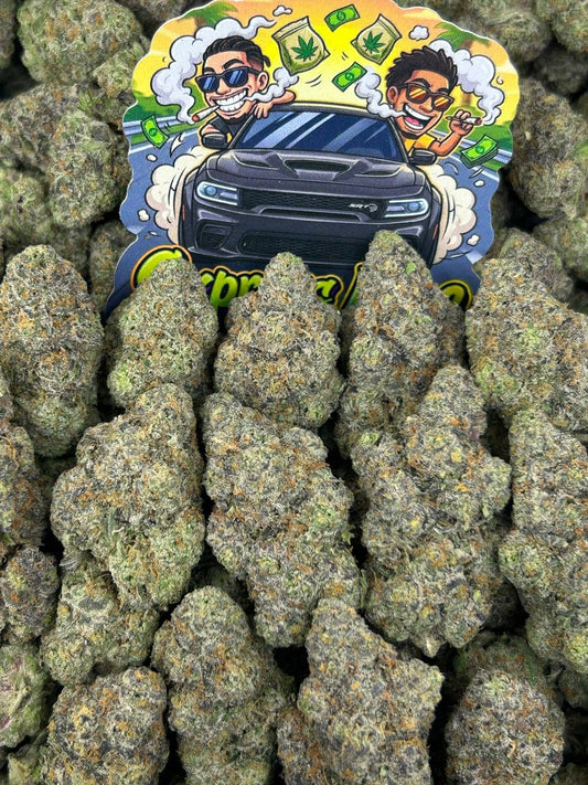 Gruntz 🍬