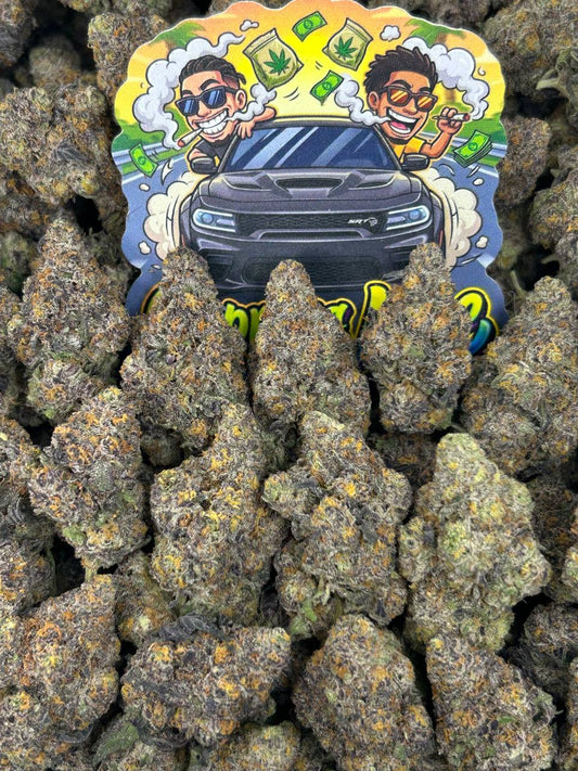 LA Confidential ☀️