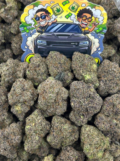 London Purpz 🦄