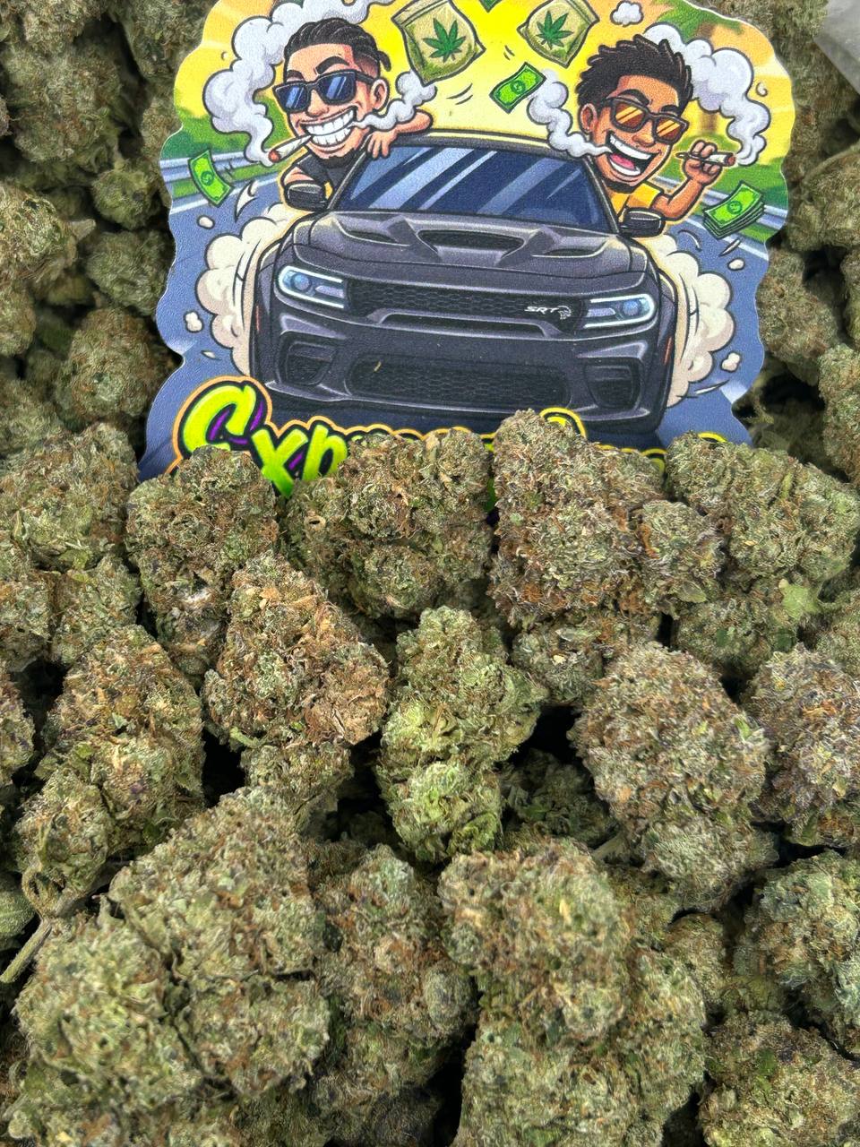 Martian Gelz 👽