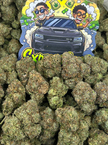 Martian Gelz 👽