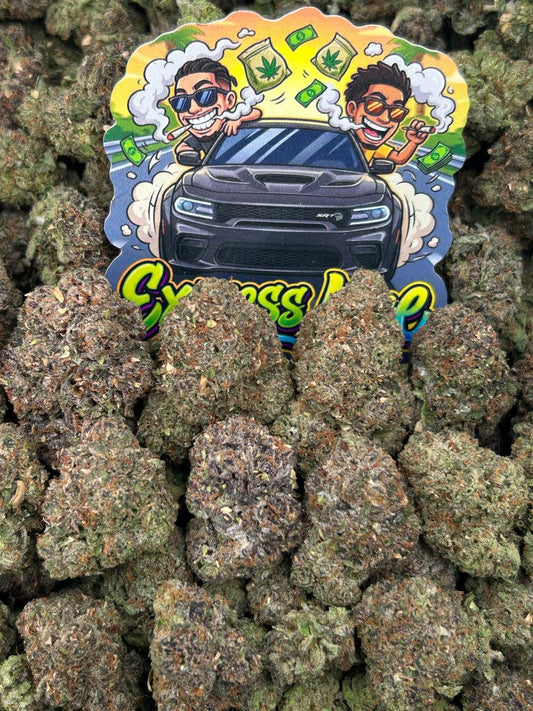 Watermelon Warheadz 🍉