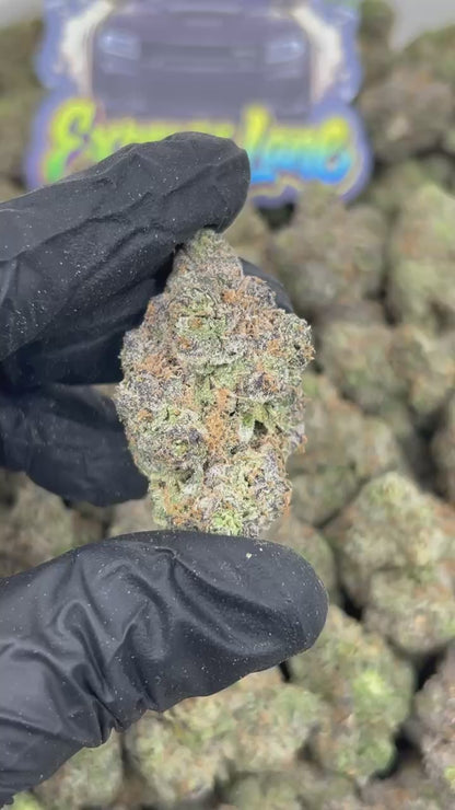 Gelato 47 🍨 #EA821