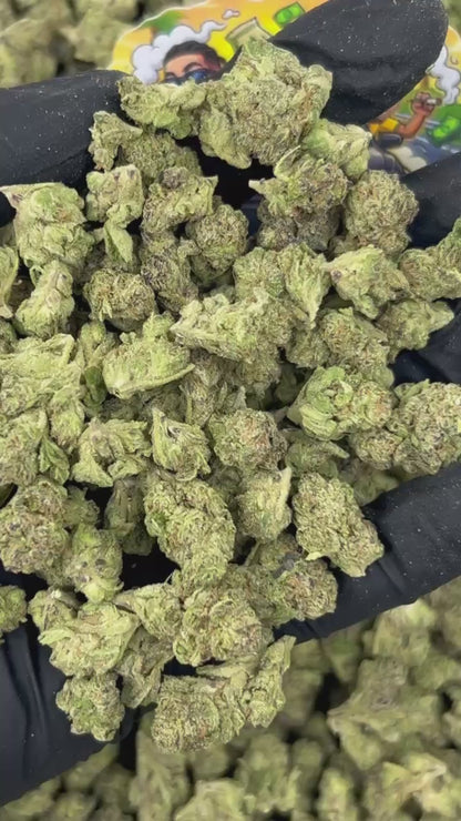 Mango Sago Smalls 🥭