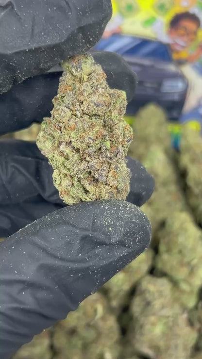 Blue Gusherz 🍬