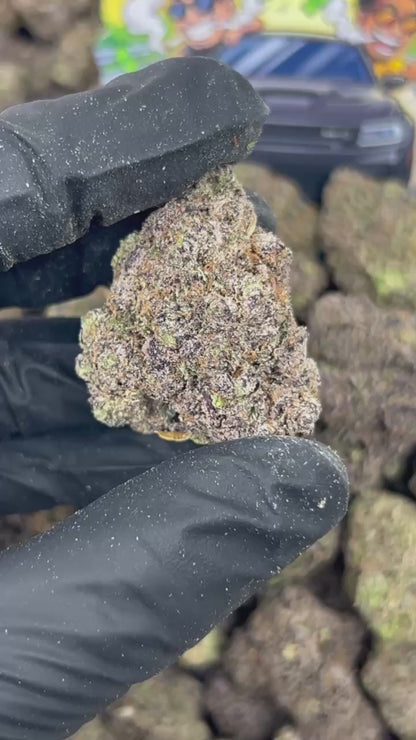 London Purpz 🦄