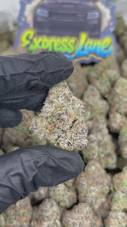 Royal Sherb 👑 #EA823