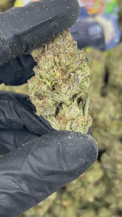 Black Cherry Gelato 🍒