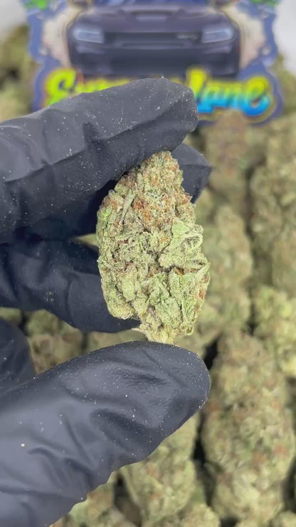 Cosmo Cookiez 🍪