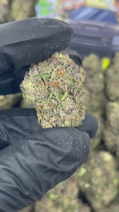 Cream Pie🥧