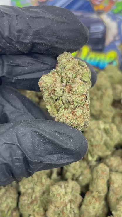 Lemon Cherry Gusherz 🍋🍒