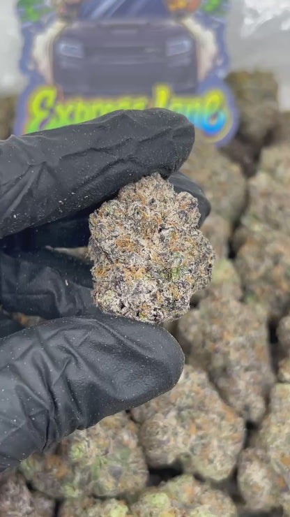Blackout Zkittlez 🖤 #CM1316
