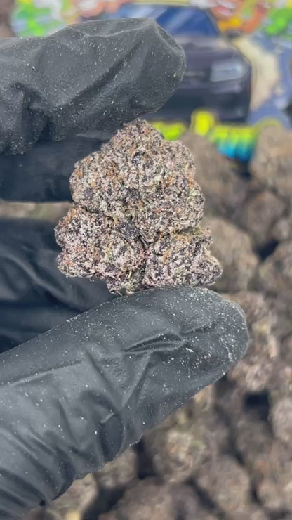 Diesel Berriez ⛽️
