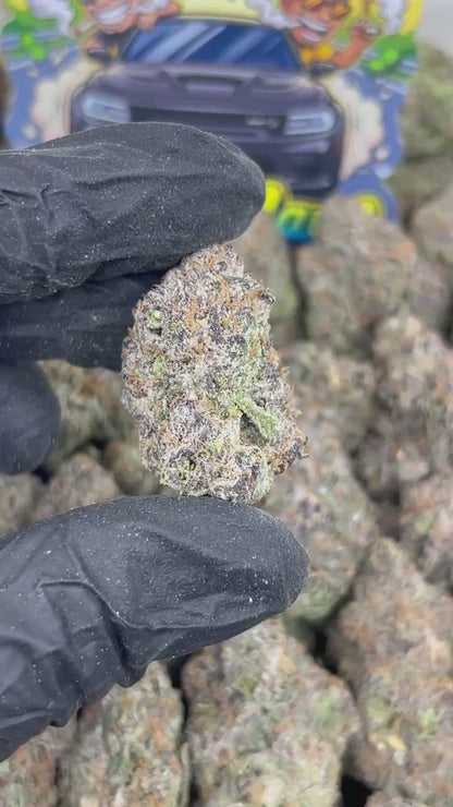 White Berry Haze 🍓