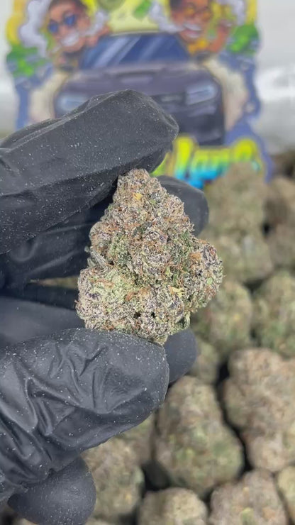Blueberry Zlushie 🫐