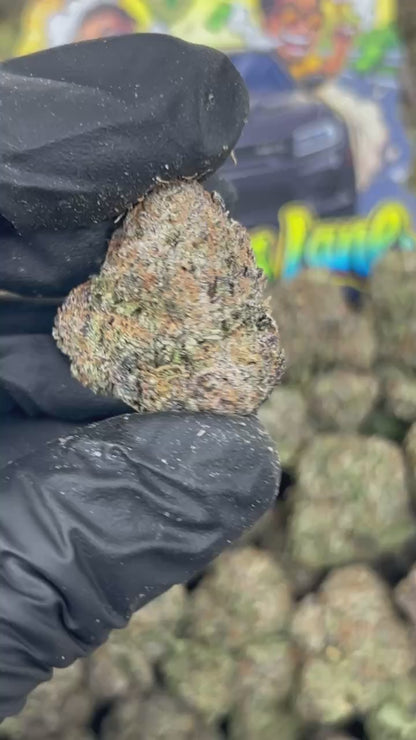 Mango Sherb🥭