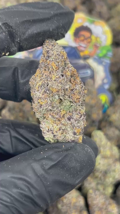 LA Confidential ☀️