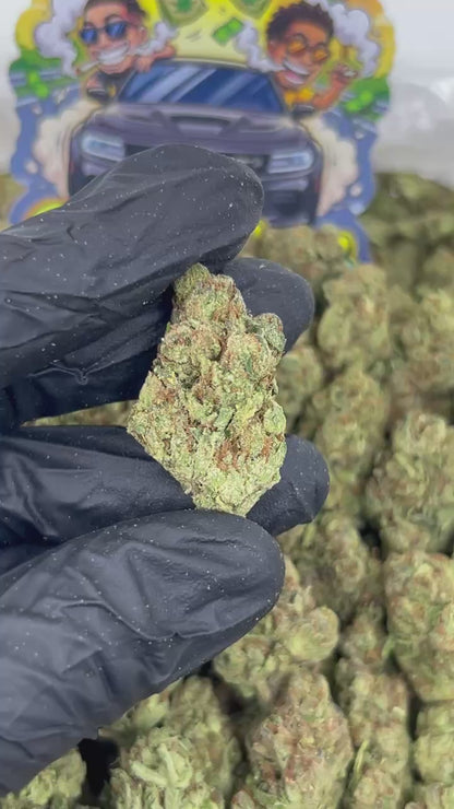 Candy Gas 🍬