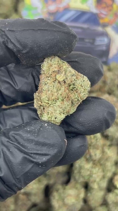 Martian Gelz 👽